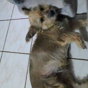 Meet your Posher, Jadiel